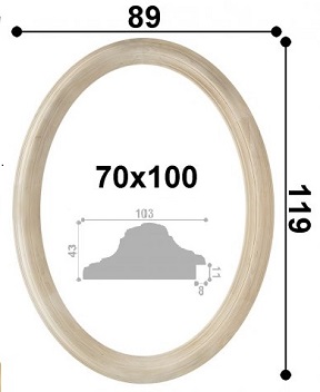 70100-10343 70100-10343