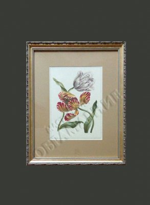 ����� �������� � ����������� ���������� ������������� ������. ������� ���� �������� ��� ������������, � ������� ����������� ����������� ������������. ����� ������������ ������ ������ ������ ��������� ����������, ������������ � ����� � ��������.