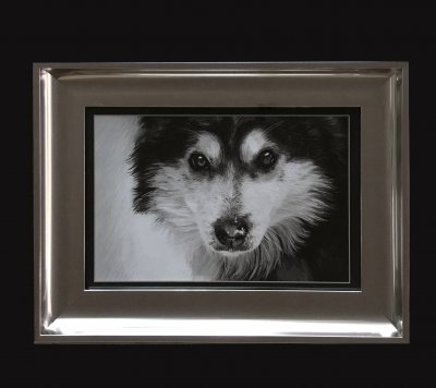 ���� ������