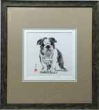 ���� ������