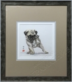 ���� ������